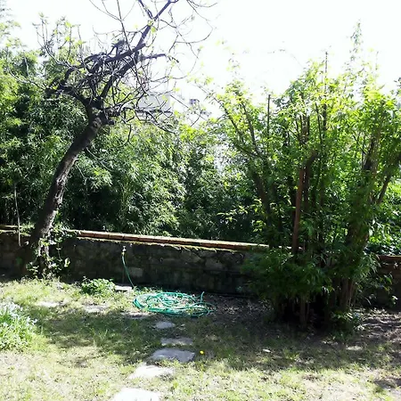 La Casa Dell'artista Con Giardino *
